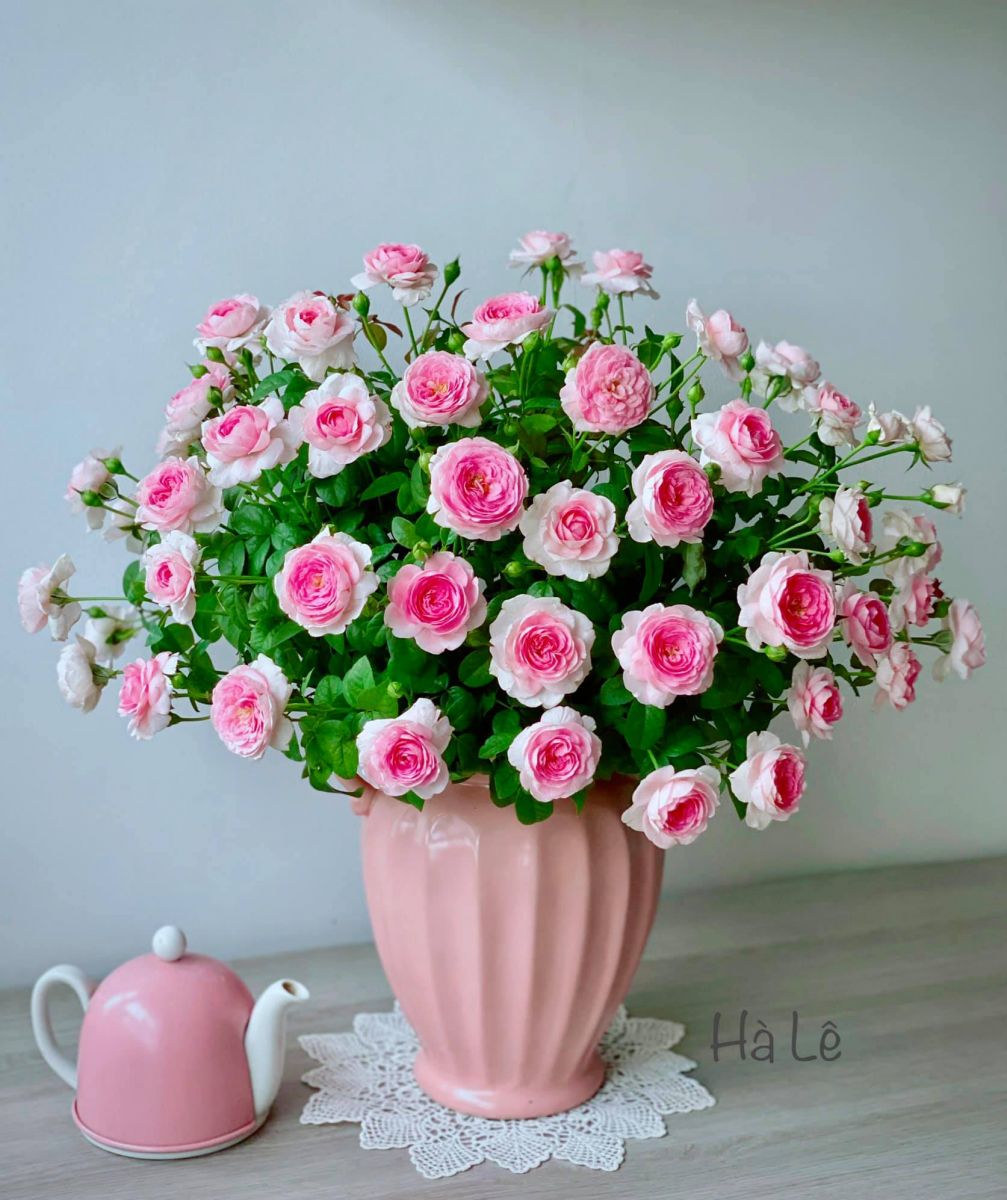 Tử vi hàng ngày - Thứ Năm 15/12/2022 của 12 cung hoàng đạo